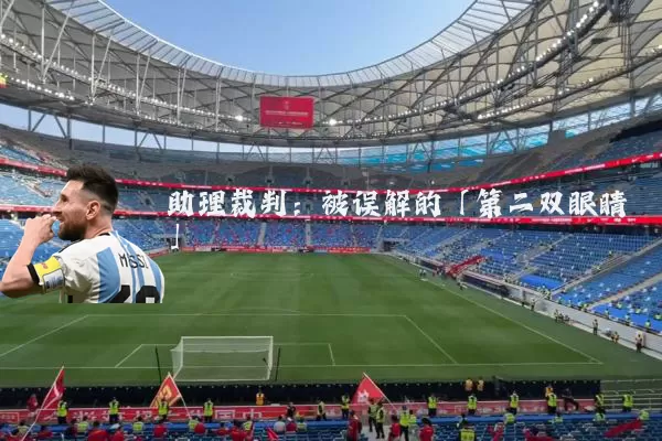 助理裁判:被误解的「第二双眼睛」